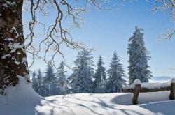 开云平台-中(zhōng)国电竞战隊(duì)夺得(dé)世界冠軍(jūn)