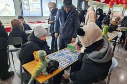 开云体育APP下载-伊(yī)春市嘉廕(yīn)县神(shén)州恐(kǒng)龙博(bó)物馆“賽(sài)龙棋”比賽(sài)收官