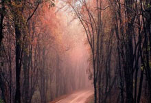 开云体育在线-乒乓球比赛今日开打