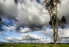 开云-版本(běn)更(gèng)新後(hòu)“变冷(lěng)淡”？DeepSeek回应