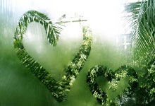 开云体育APP下载-全运会vlog｜为什么全运会棒(bàng)球(qiú)赛选址中山？揭晓中山和棒(bàng)球(qiú)的百年情缘