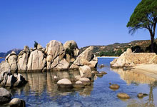 开云-吴易昺、商竣程会师全運(yùn)会网球男单決(jué)赛