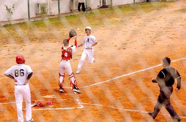 450名中小学生角逐市体育传统校棒球比赛